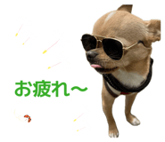 859312515