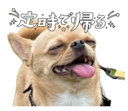 859312519