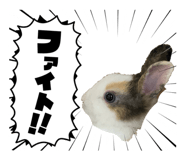 859314193
