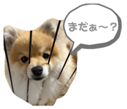 859315126