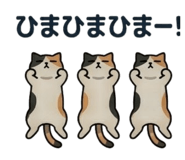 859315329
