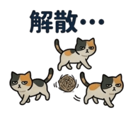 859315337