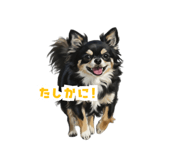 859315504