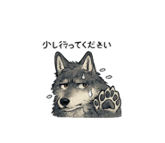 859315647