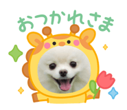 859316014