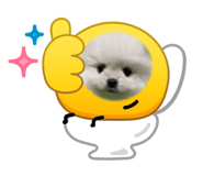 859316017