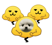 859316018
