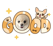 859316021