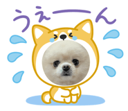 859316022
