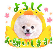 859316026