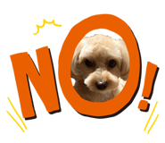 859317003