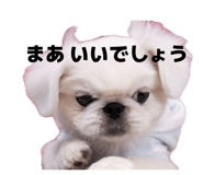 859317233
