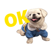 859317236
