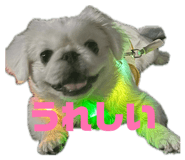 859317240