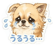 859317606