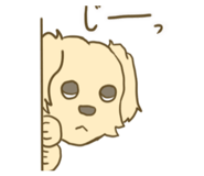 859318075