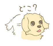 859318079