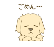 859318081