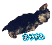 859318406
