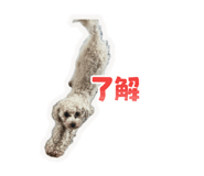 859318798