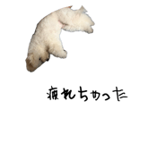 859318953