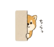 859320691
