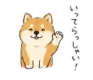 859320693
