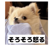 859320713