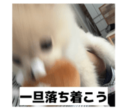 859320721