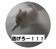 859320725