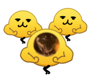 859320913