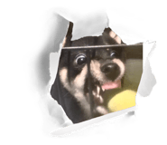 859320914
