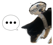 859320915