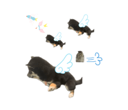 859320916