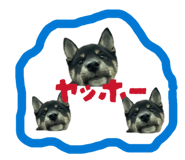 859320917