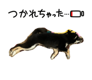 859320935