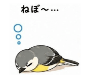 859321328