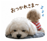 859321739