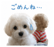 859321742