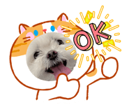 859321746