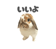 859325777