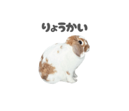 859325778