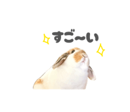 859325780