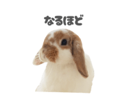859325781