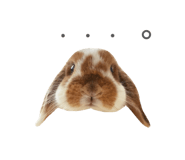 859325782
