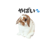 859325783