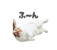 859325785