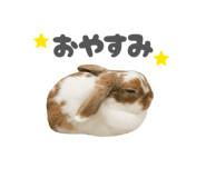 859325788