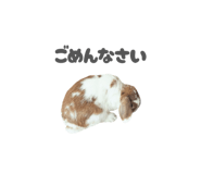 859325789