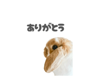 859325790